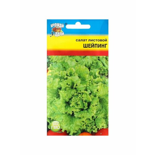 Семена Салат Шейпинг, листовой, 0,5 г семена салат шейпинг листовой 0 5 г 3 упак