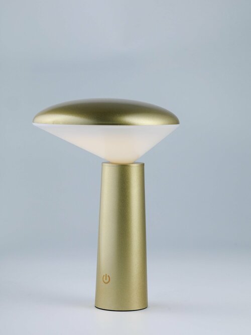 Беспроводная настольная светодиодная лампа. Светильник прикроватный декоративный интерьерный гриб ночник