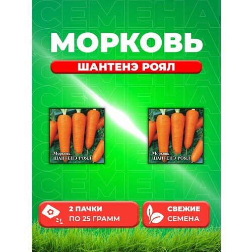 Морковь Шантенэ Роял 25,0 г (2уп)