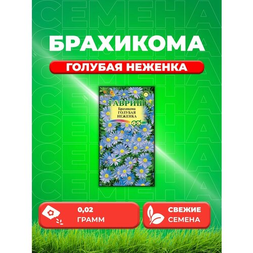 Брахикома иберисолистная Голубая неженка, 0,02г, Гавр семена цветы брахикома неженка