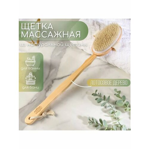 Щётка массажная из натуральной щетины 727₽