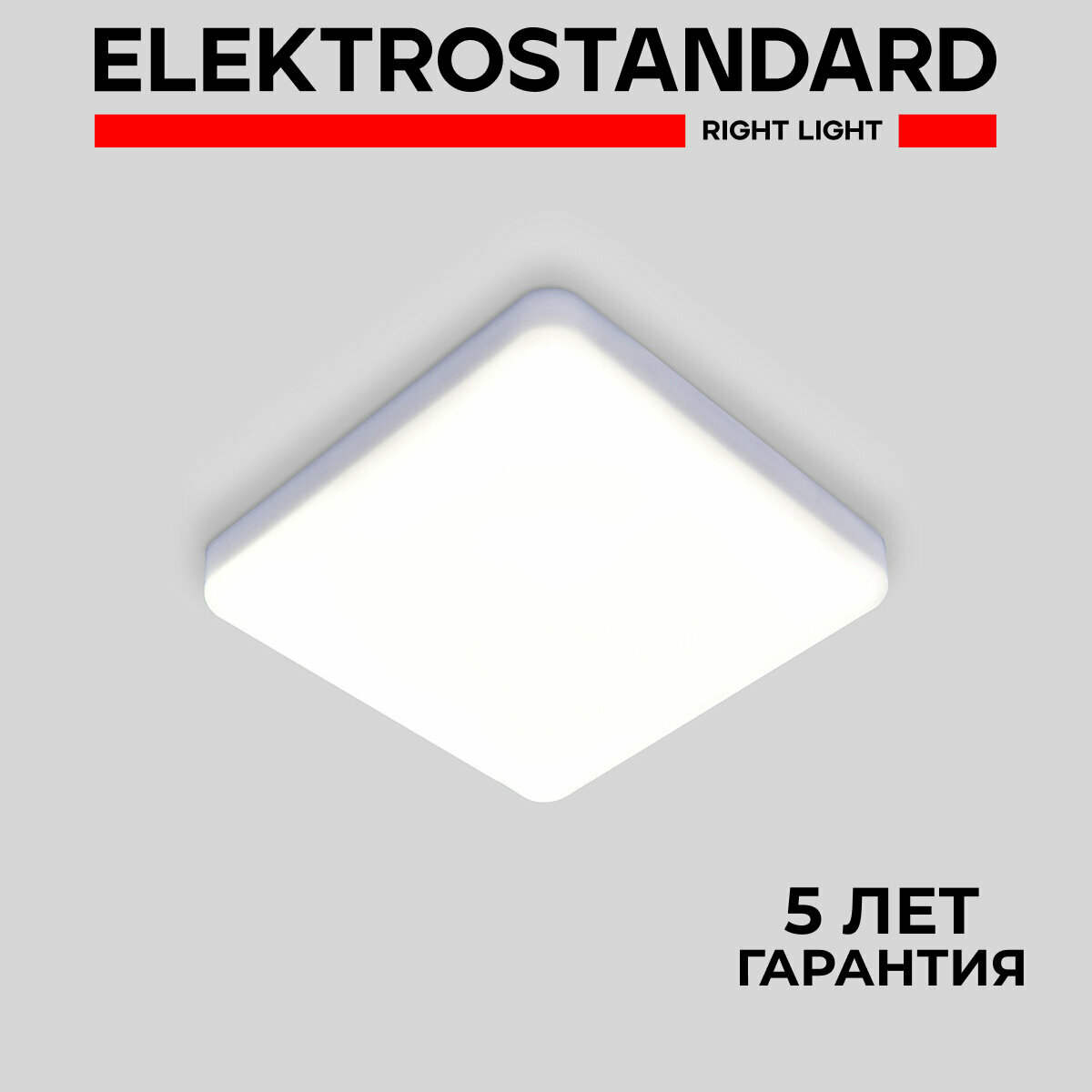 Накладной светодиодный светильник Elektrostandard Gaze R DLS043 10 Вт 4200 K цвет белый