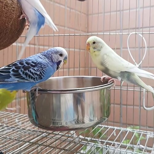 Кормушка для попугаев и грызунов