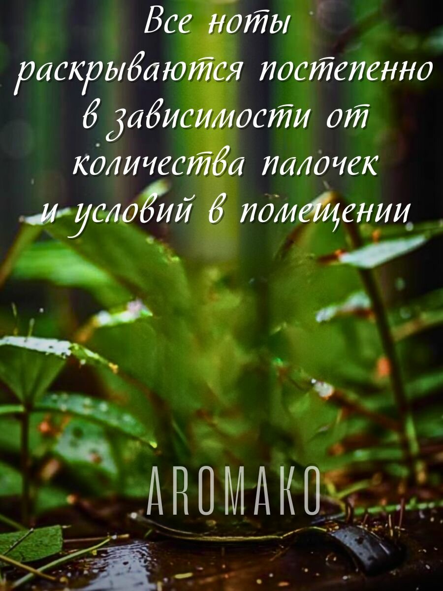 Ароматический диффузор с палочками Лес после дождя 100 мл, ароматизатор для дома и офиса, парфюм для дома AROMAKO — фото 1