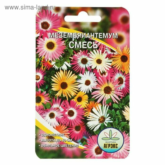 Семена цветов Мезембриантемум 