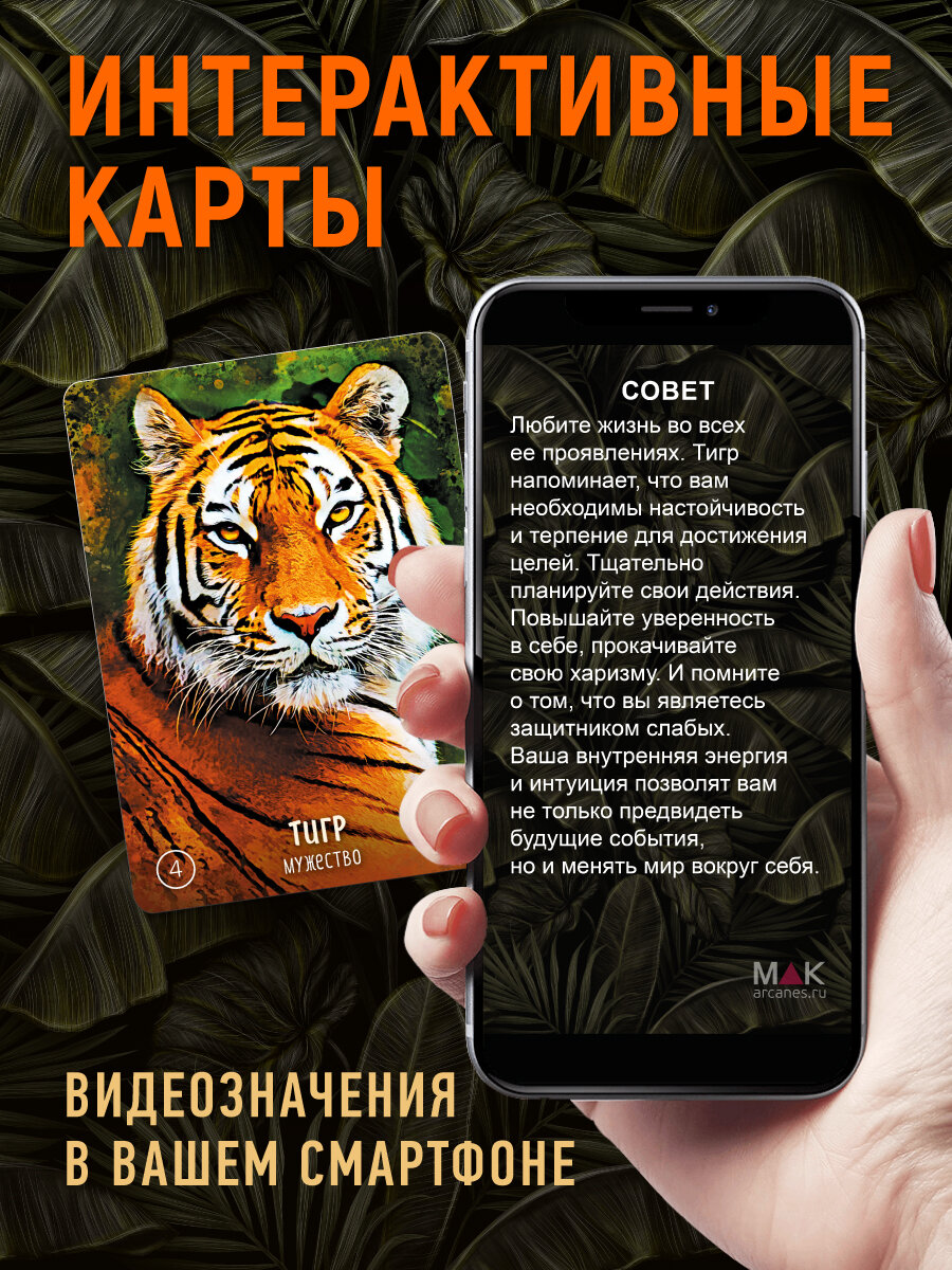 Животное силы. Метафорические карты Оракул, 100 карт, книга в комплекте — фото 1