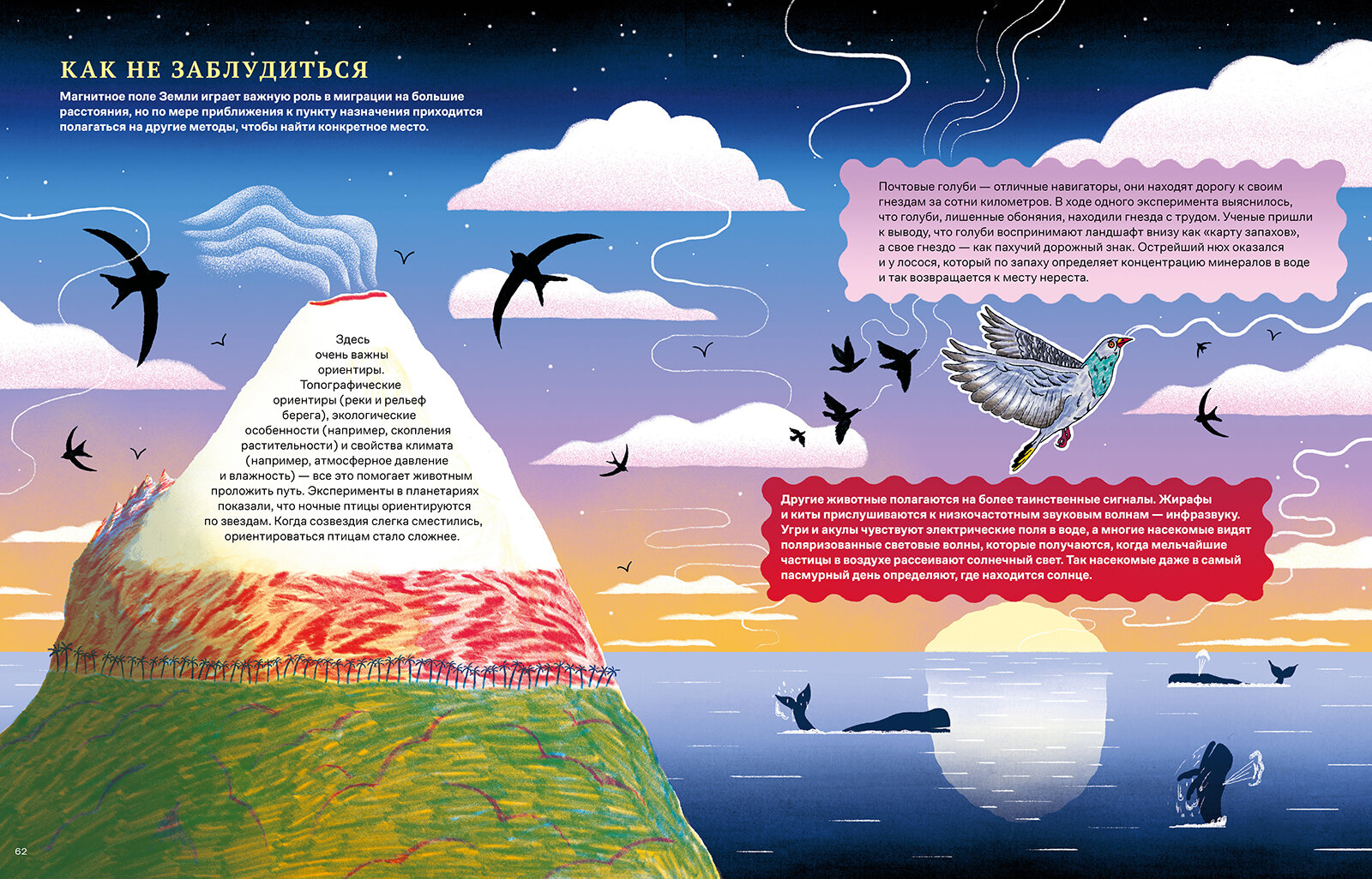 Невероятные странствия животных : навигация и миграция по воздуху, суше и морю - фото №13