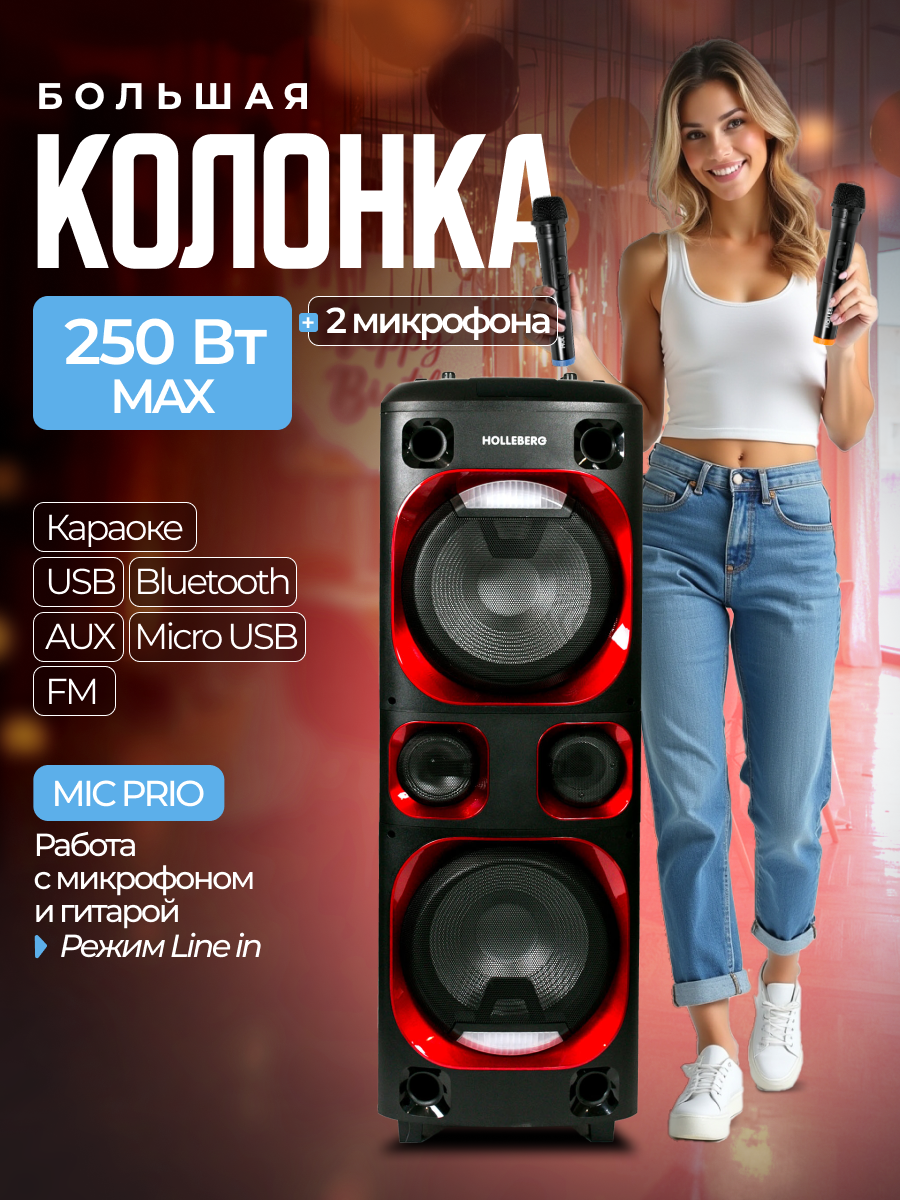 Колонка большая музыкальная HOLLEBERG HX-420 с функцией караоке два микрофона