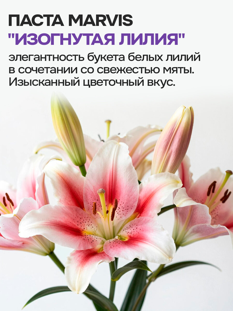 Зубная паста MARVIS SINOUS LILY, отбеливающая, мятно-цветочная, 75 мл — фото 1