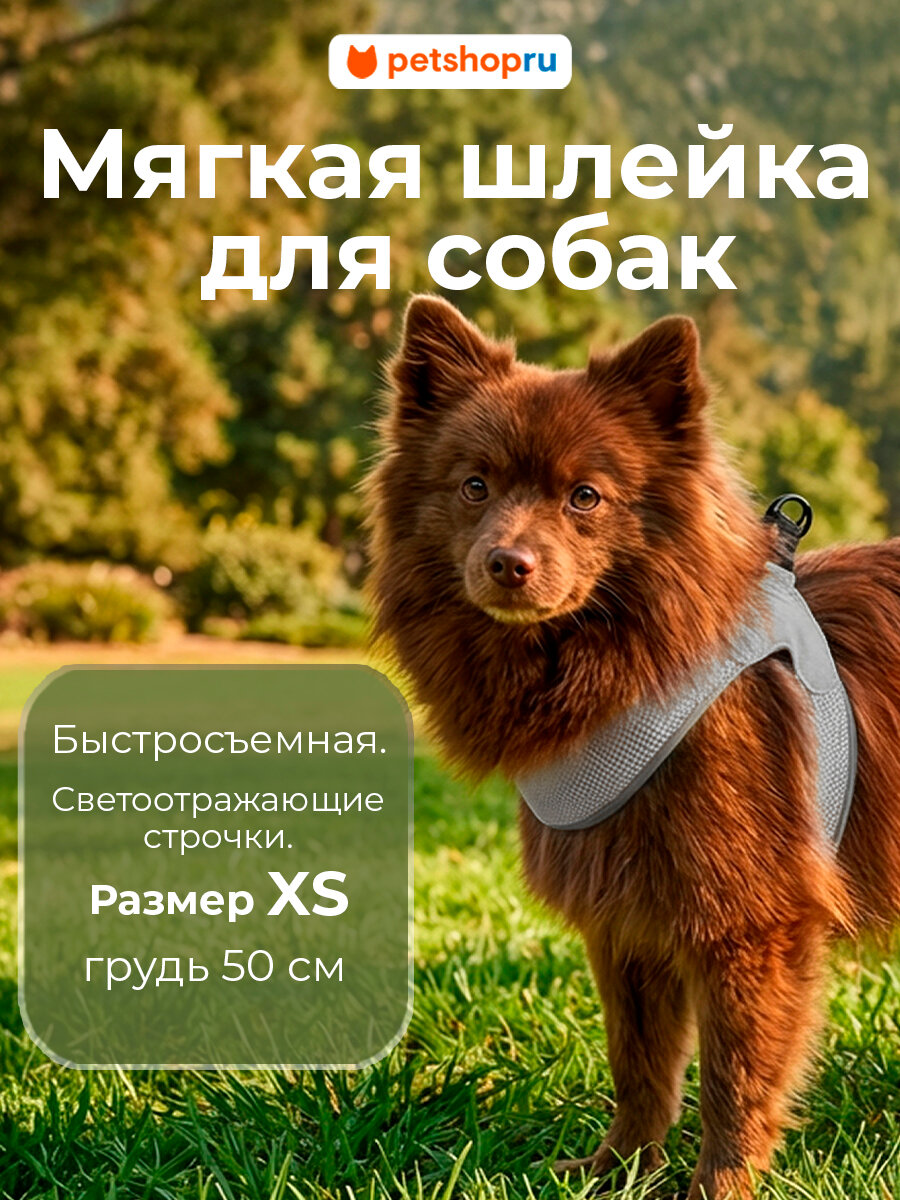 PETSHOP Шлейка для собак мягкая "Спайк" XS, серая