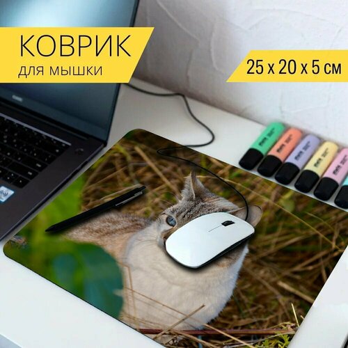 Коврик для мыши с принтом Кот, feline, pet 25x20см. коврик для мыши с принтом кошка кот feline 25x20см