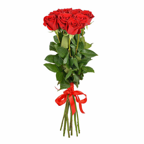 Букет живых цветов из 9шт красной розы 160см