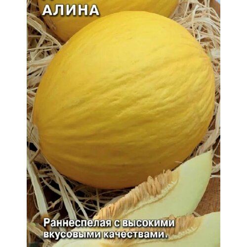 Коллекционные семена дыни Алина