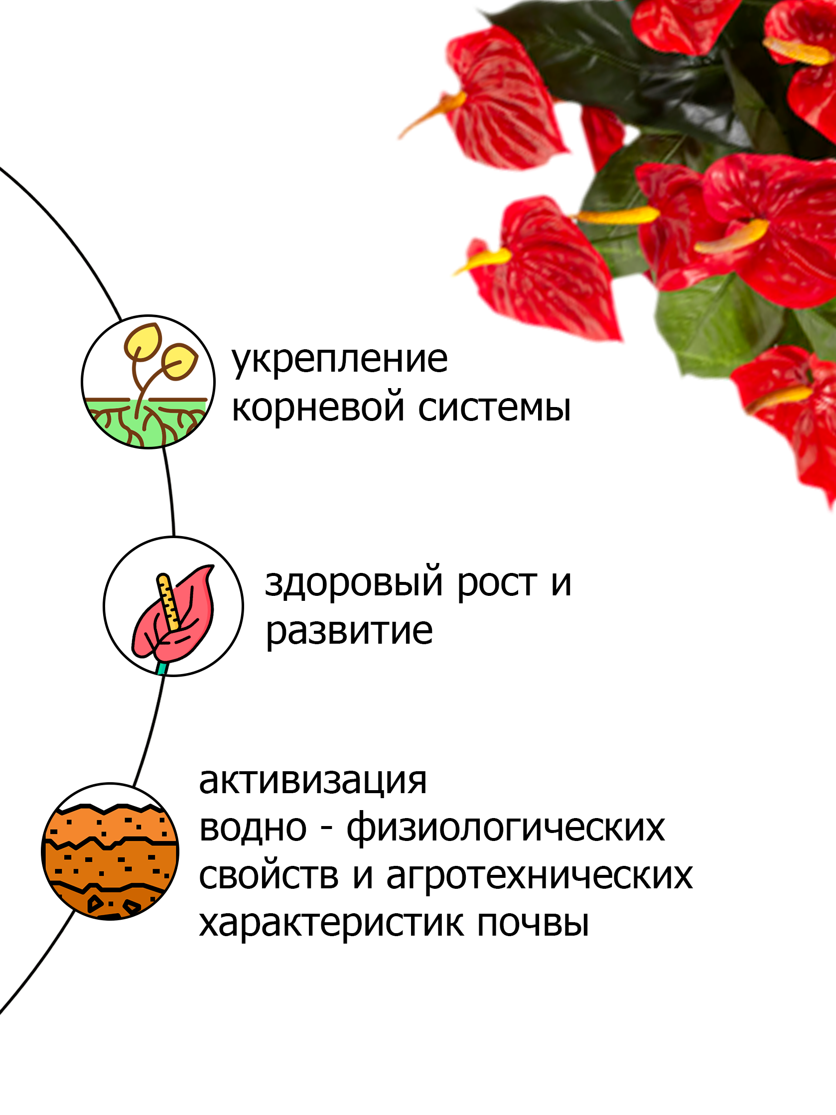 Грунт для антуриума и спатифиллума — фото 3