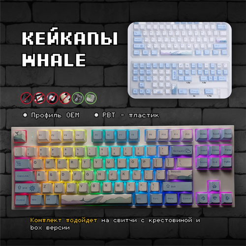 Кейкапы Whale для механической клавиатуры, OEM, PBT пластик