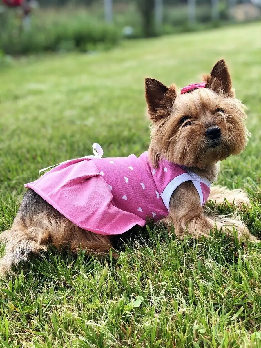 Платье для собак «Маленькая кокетка» р. 30 (розовое) длина изделия 33 см