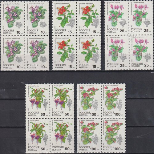 почтовые марки россия 1993г уссурийский тигр тигры mnh Почтовые марки Россия 1993г. Комнатные растения Цветы MNH