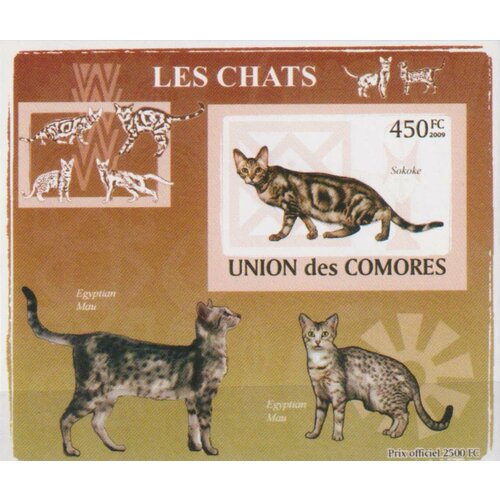 Почтовые марки Коморы 2009г. Породы кошек - Сококе люкс блок Кошки MNH