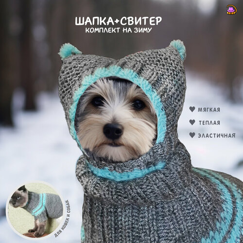 Комплект (шапка + свитер), одежда для животных