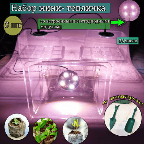 Набор мини-тепличка для рассады со встроенными светодиодами, 3 шт зеленый