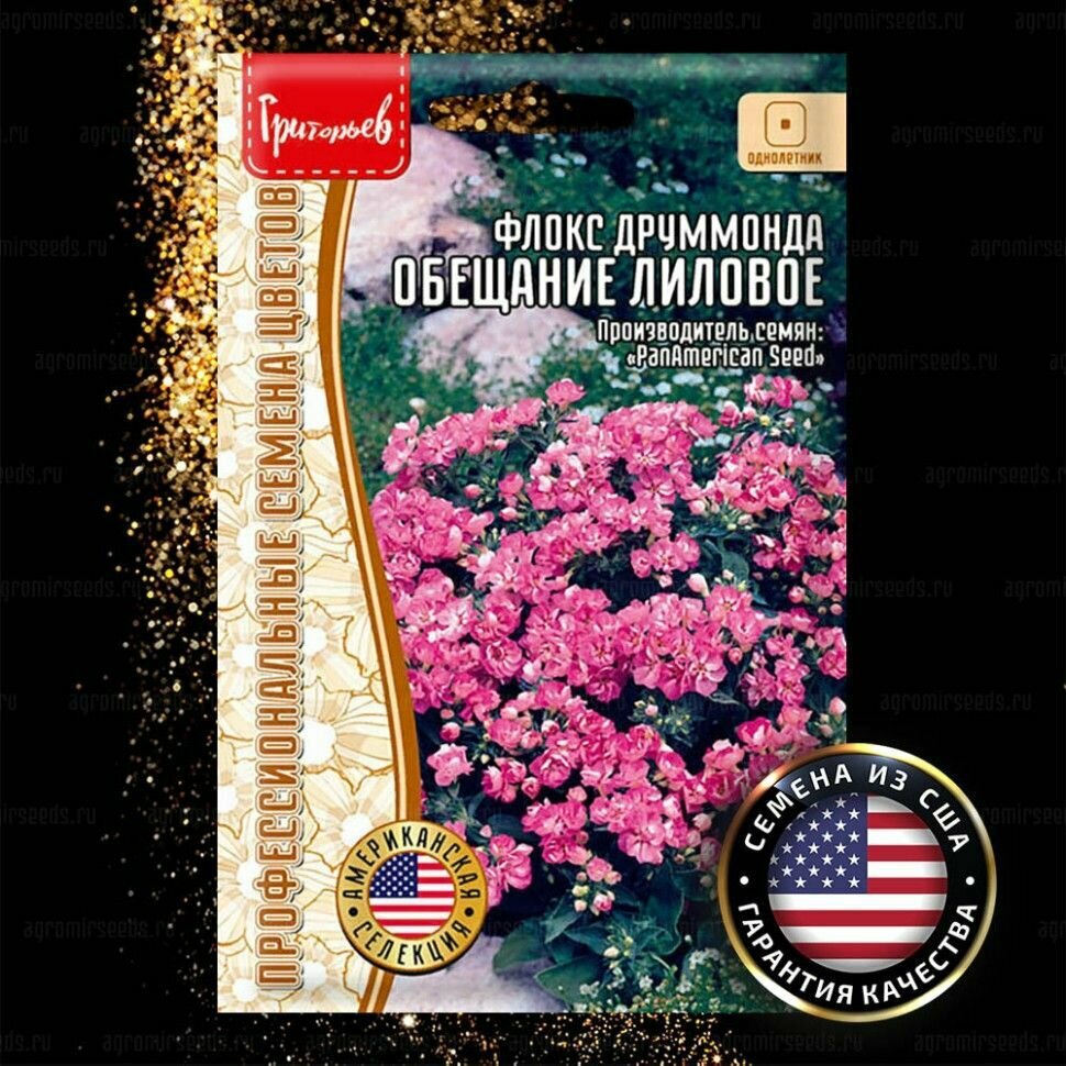 Флокс махровый Обещание Лиловое / 5 семян /Редкие семена