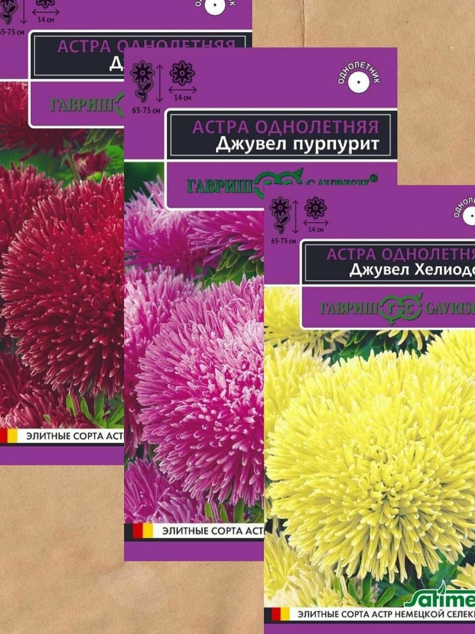 Свежие Семена цветов Гавриш 