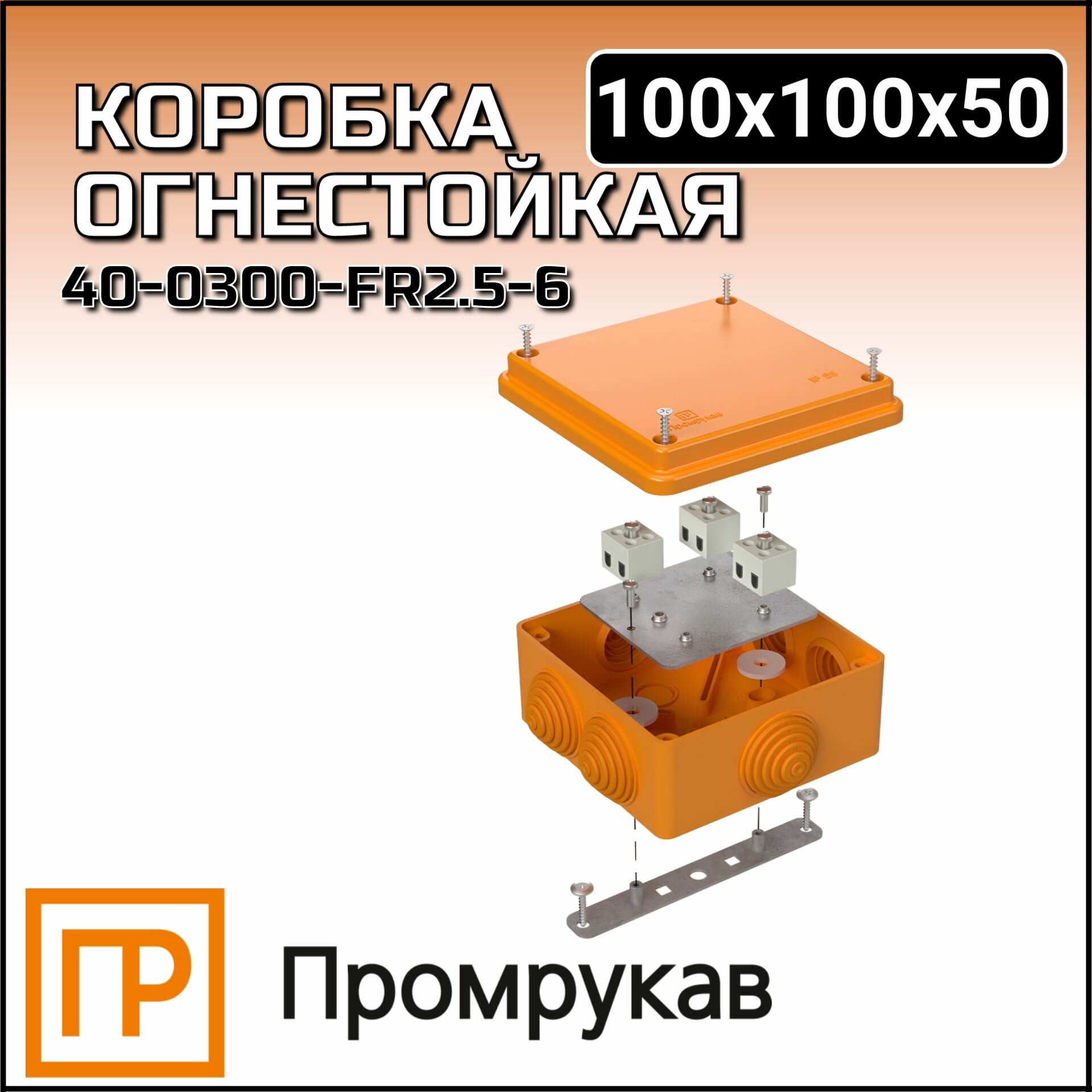 Коробка распределительная Промрукав 100х100х50 (40-0300-FR2.5-6)