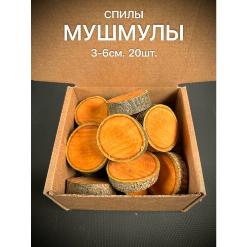 Спилы Срезы дерева Мушмула 3-6 см 20 шт