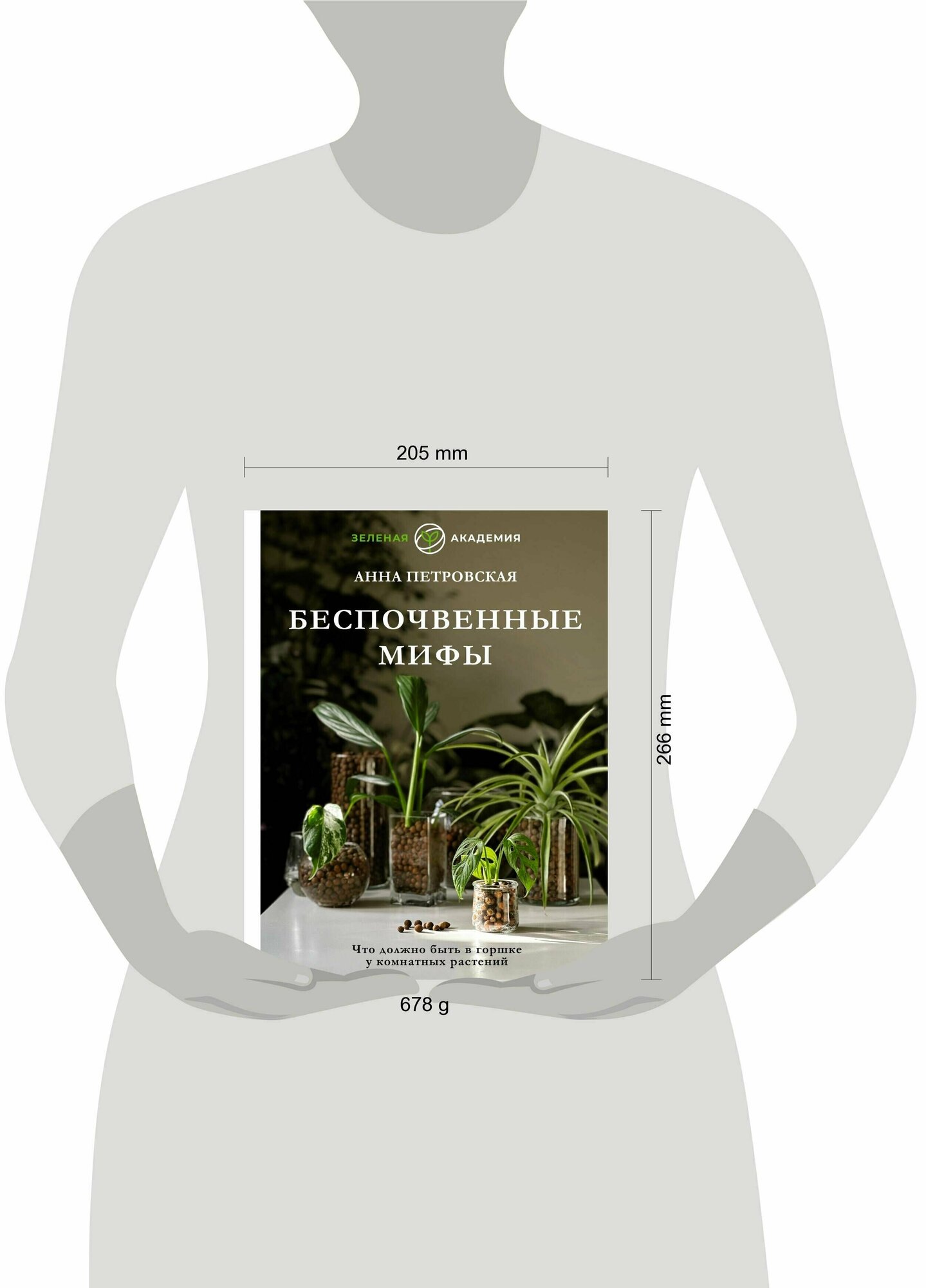 Что должно быть в горшке у комнатных растений. Беспочвенные мифы - фото №4