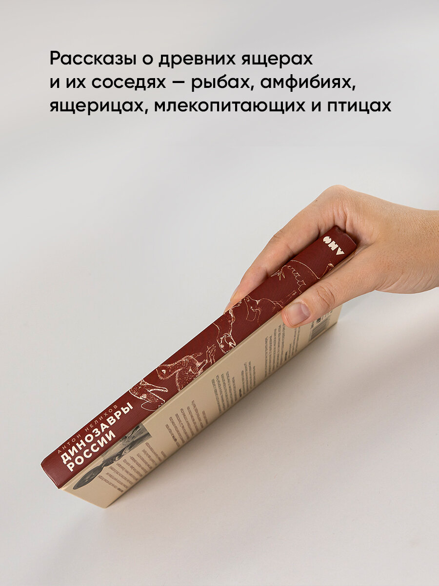 Динозавры России: Прошлое, настоящее, будущее / Нон фикшен / Исторические книги