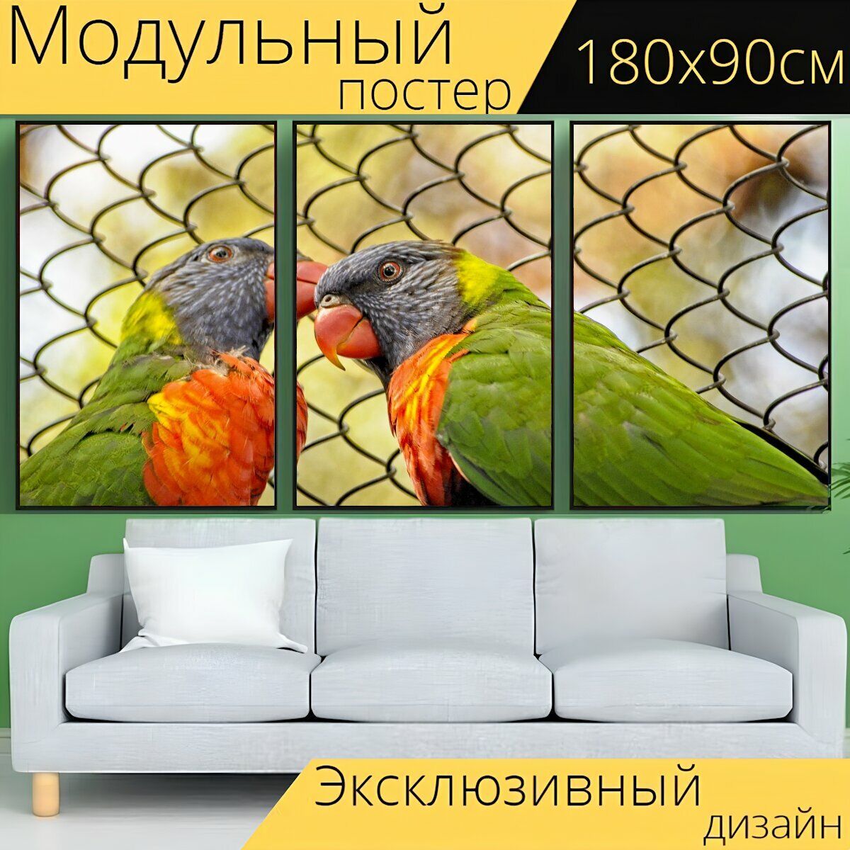 Модульный постер "Мускусный лорикет птицы красочный" 180 x 90 см. для интерьера