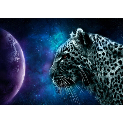 Плакат Леопард, Барс небесный на баннере, 8459см. А1