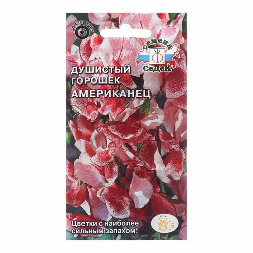 семена душистый горошек маленький принц 0 5г Семена цветов Душистый Горошек Американец,