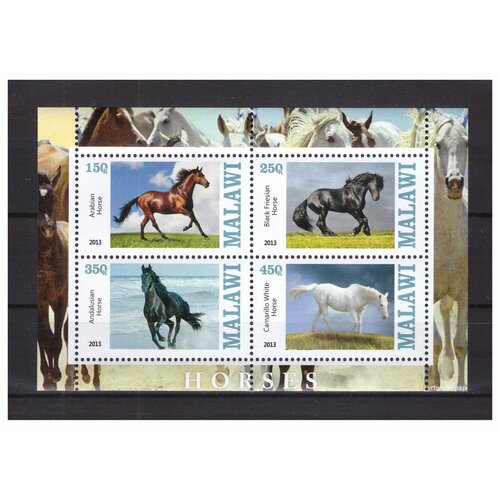 Почтовые марки Малави 2013 г. Фауна. Лошади. Малый лист. MNH(**) почтовые марки россии 1993 год 130 137 фауна мира малый лист