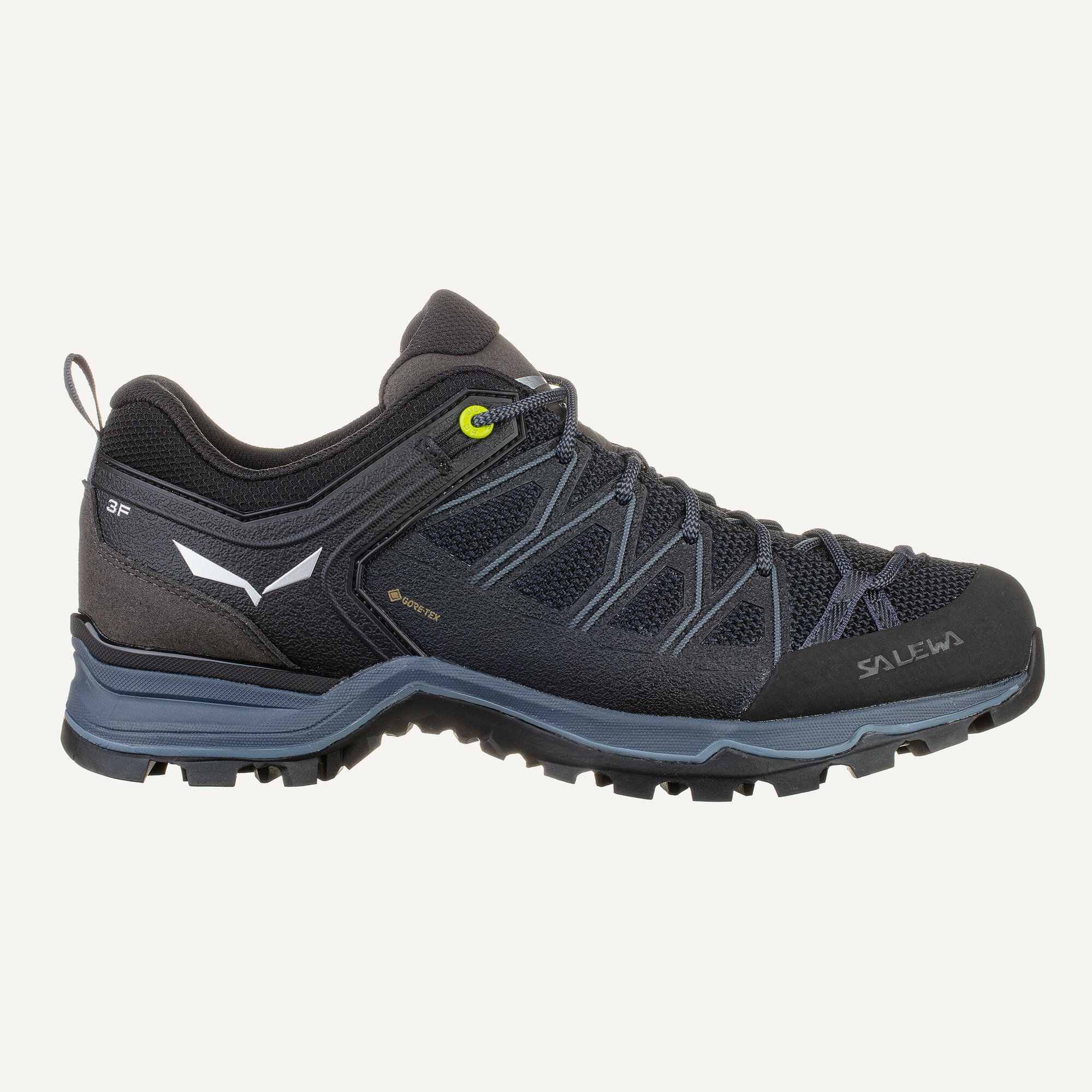 Ботинки Salewa Mountain Trainer Lite GTX MS