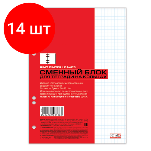 Комплект 14 шт, Сменный блок к тетради на кольцах, А5, 80 л, HATBER, Белый, 80СБ5В1, Т05088 комплект 25 шт сменный блок к тетради на кольцах а5 80 л hatber белый 80сб5в1 т05088