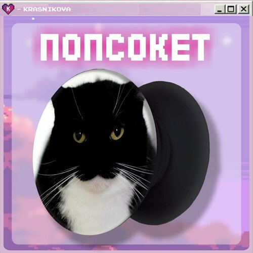 Попсокет для телефона максвелл коты мемы 350₽