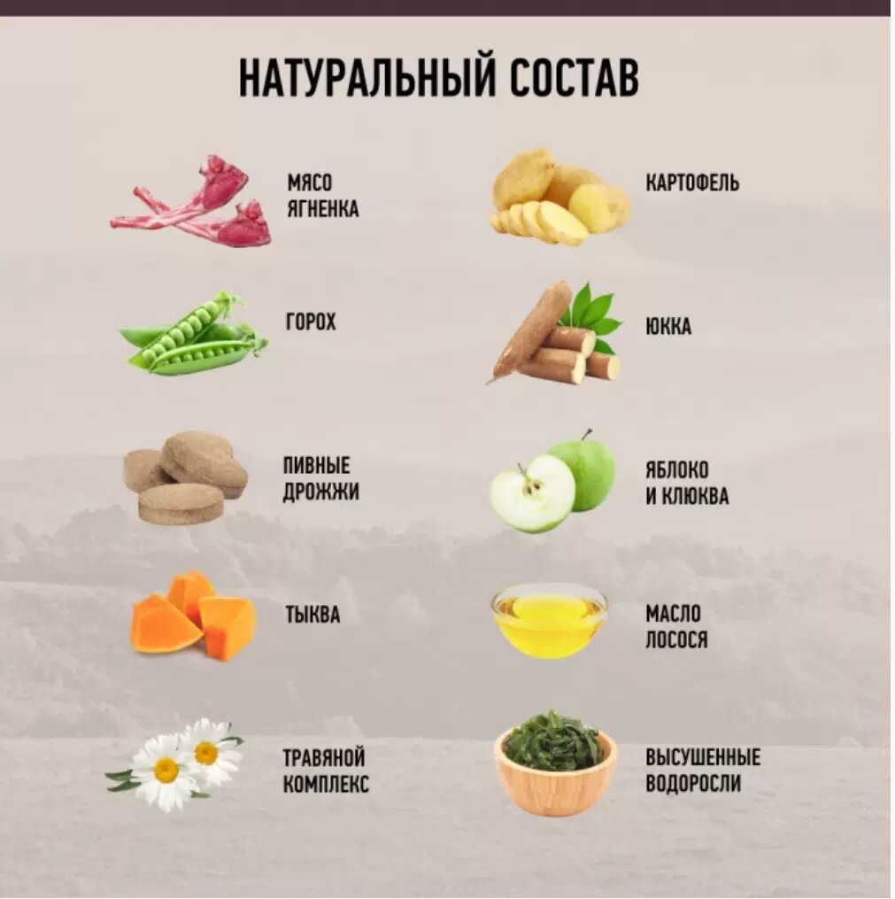 Grandin Holistic сухой корм для собак средних и крупных пород с ягненком 2,7 кг - фото №9