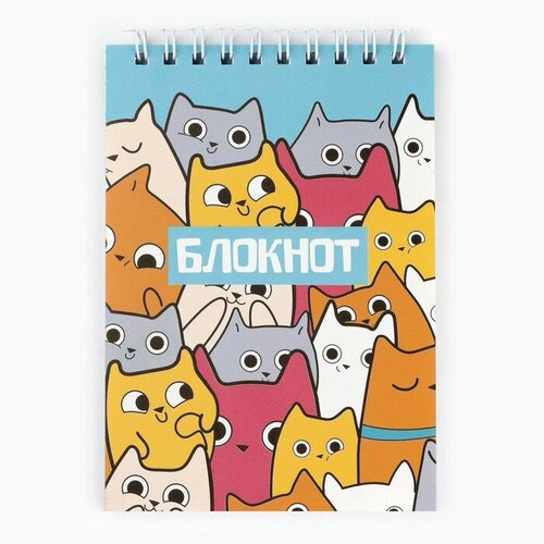 Блокнот А6, 40 л на гребне, мягкая обложка «Котята»