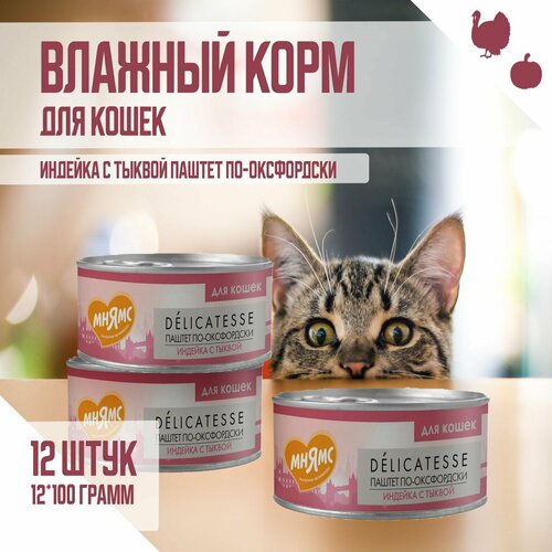 Влажный корм Мнямс для кошек "Паштет по-оксфордски", Индейка с тыквой, 100 г х 12 шт