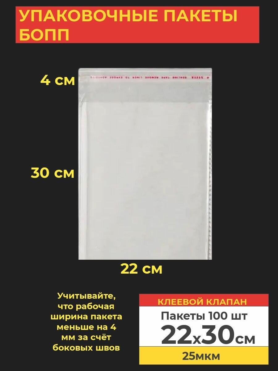 Упаковочные бопп пакеты с клеевым клапаном, 22*30 см,100 шт.