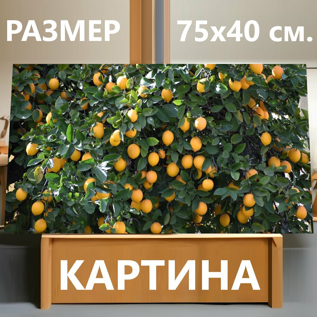 Картина на холсте "Лимон, лимонное дерево, цитрусовые" на подрамнике 75х40 см. для интерьера