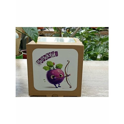 Набор для выращивания Маракуйя 600₽