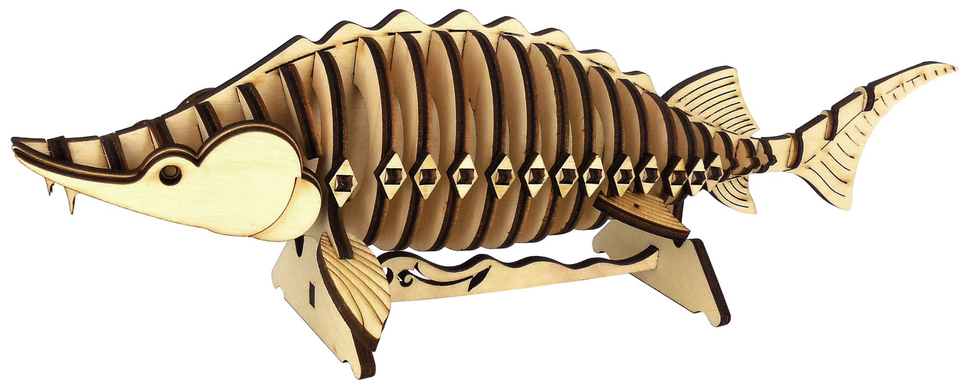 Сборная модель - осётр (упаковка - пакет) — фото 1