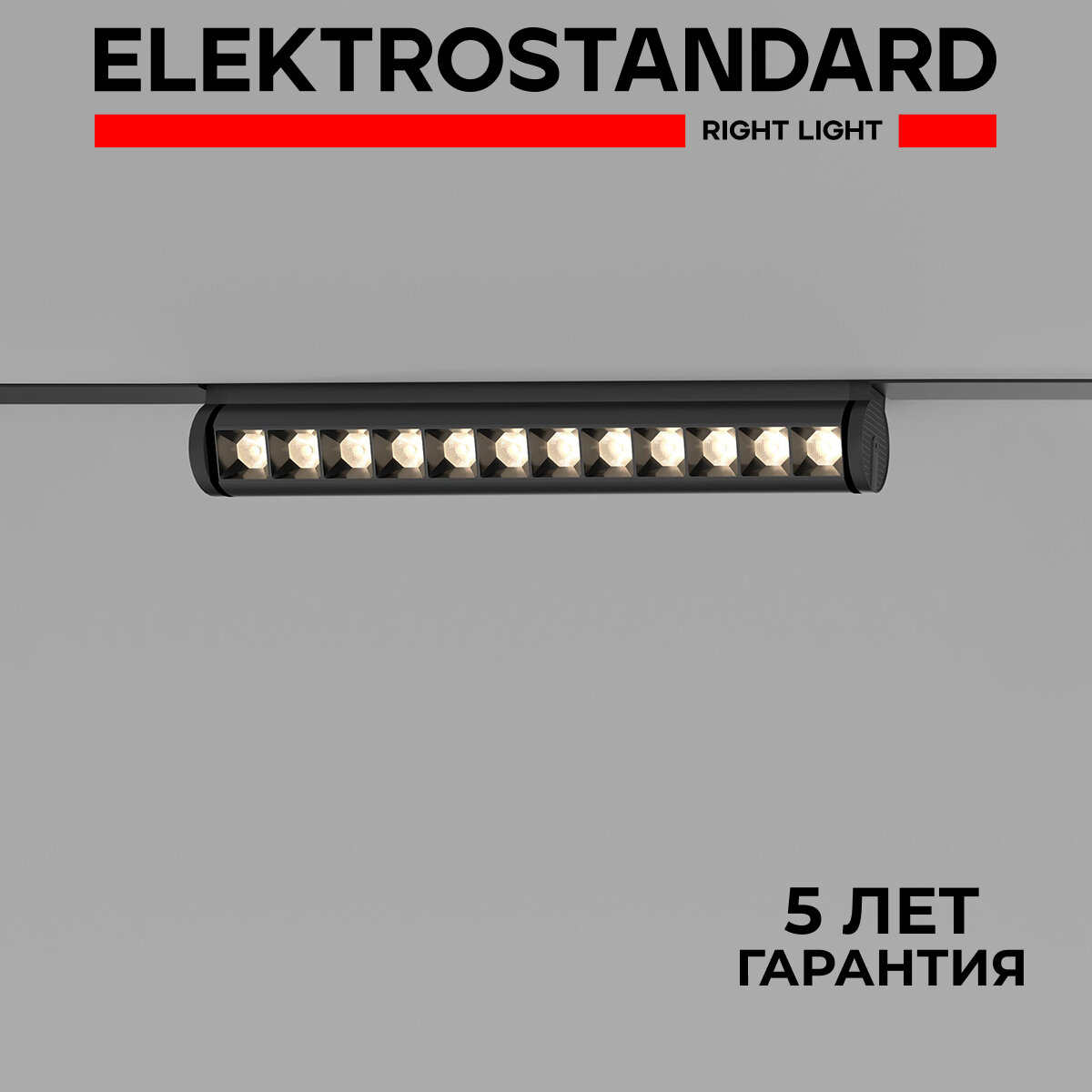 Трековый светодиодный светильник Elektrostandard Slim Magnetic Alter 85049/01, 12 Вт, 4200 K, цвет чёрный