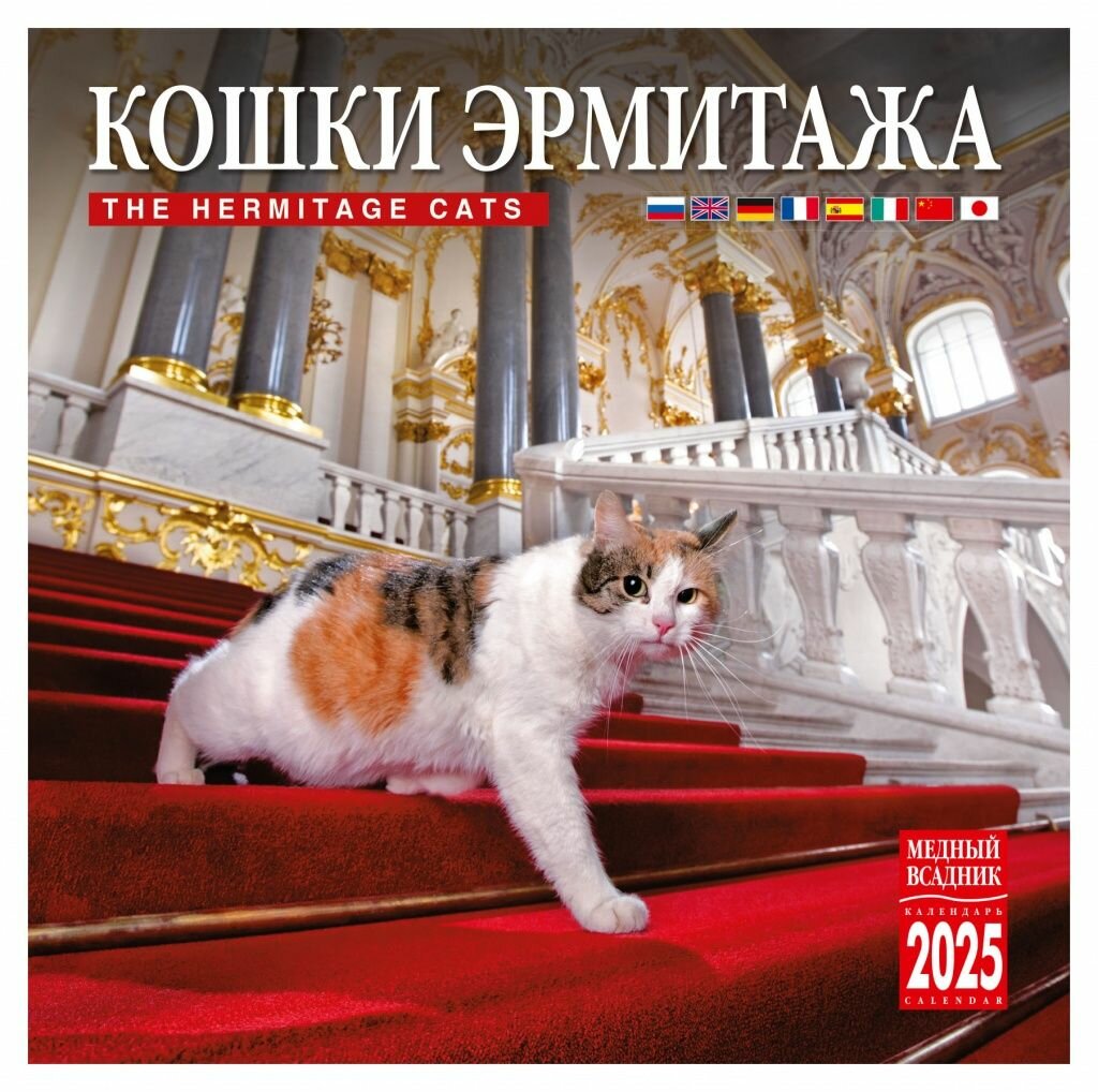 Эрмиты Жители сказочного Петербурга Cats, Hermitage, Hermitage museum