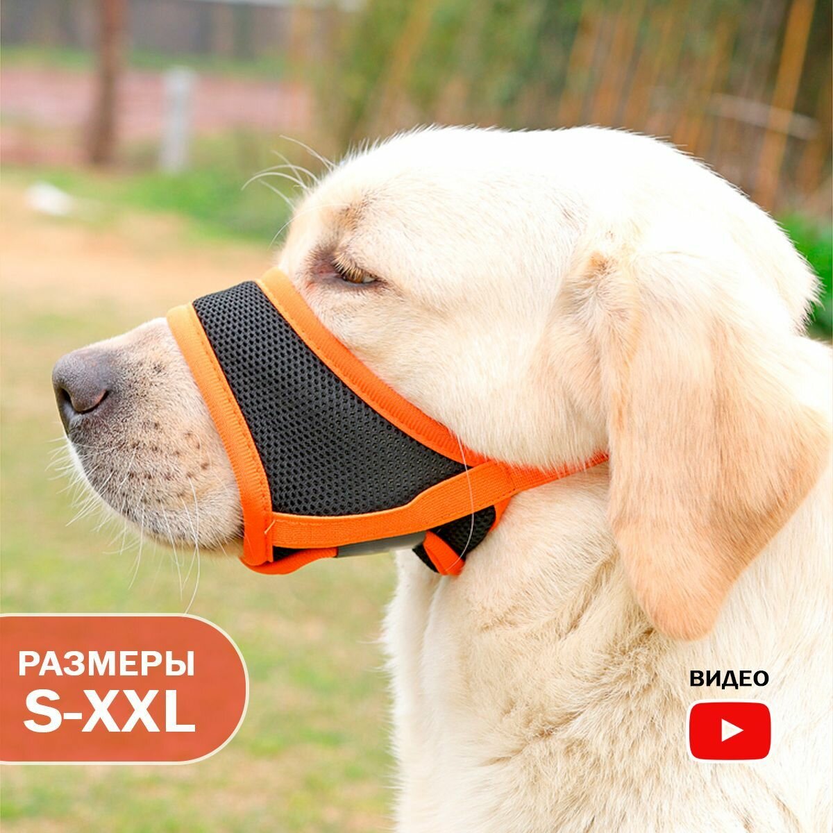 Намордник для собак...