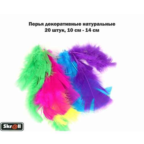 Перья декоративные натуральные, 20 штук, Ассорти / Skroll