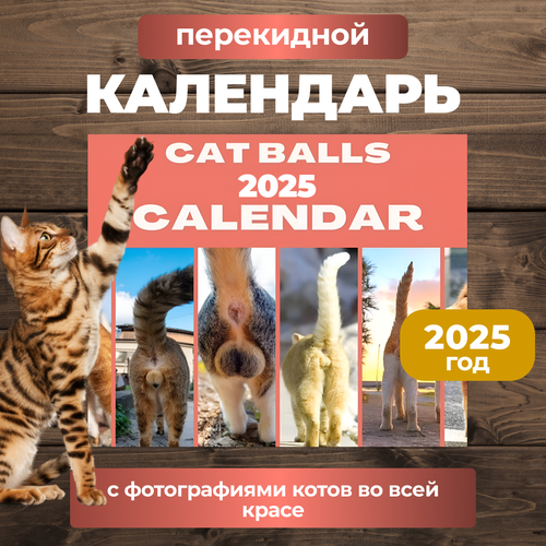 Календарь на 2025 год Кошачье достоинство 1305₽