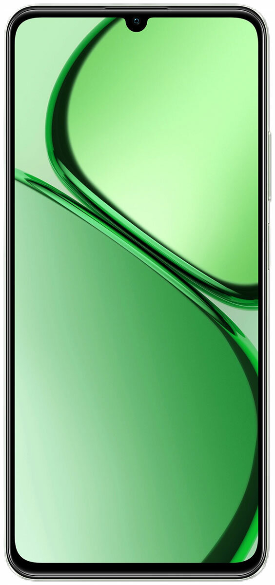 Смартфон Realme Realme C63 RMX3939 256Gb 8Gb зеленый — фото 1